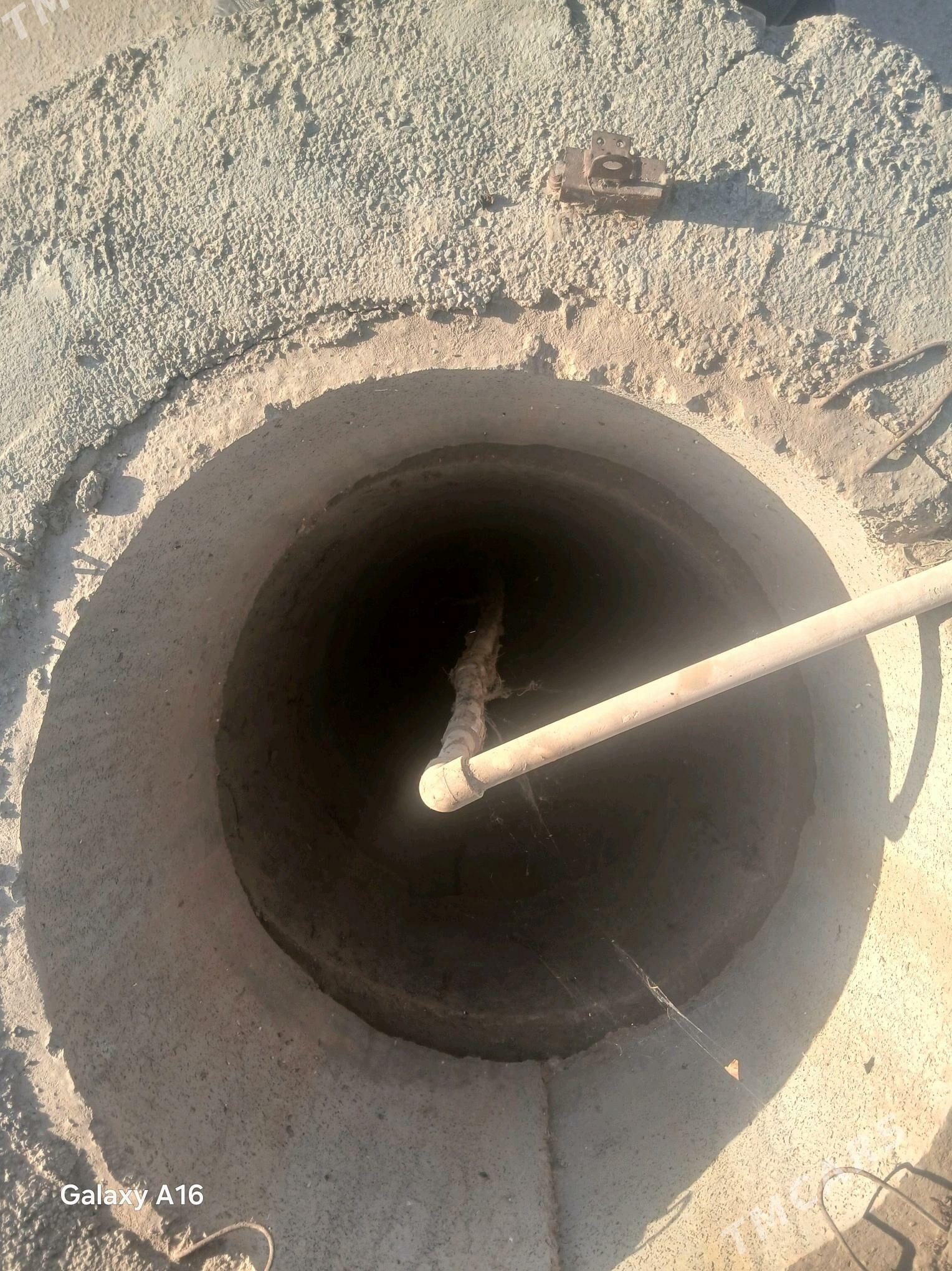 Satlyk jay - Кака - img 2