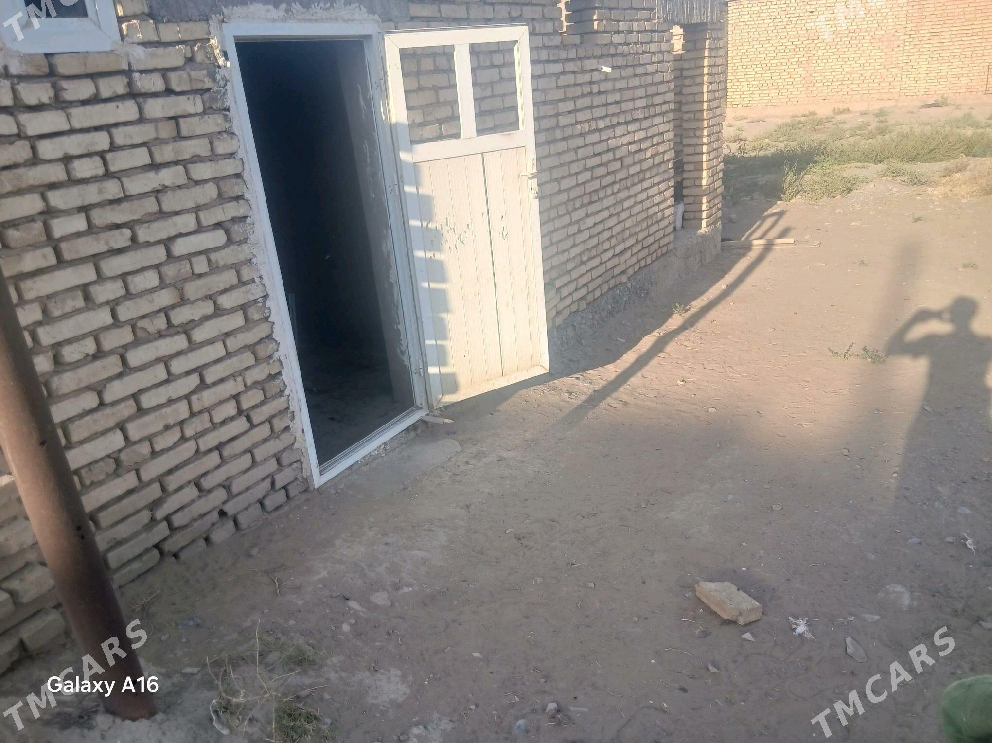 Satlyk jay - Кака - img 3