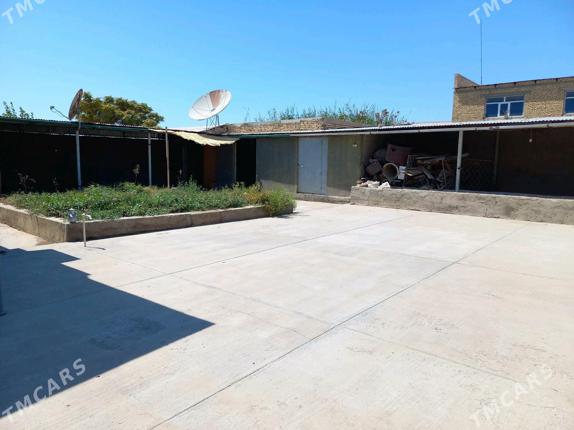 Satlyk Jaý - Теджен - img 4