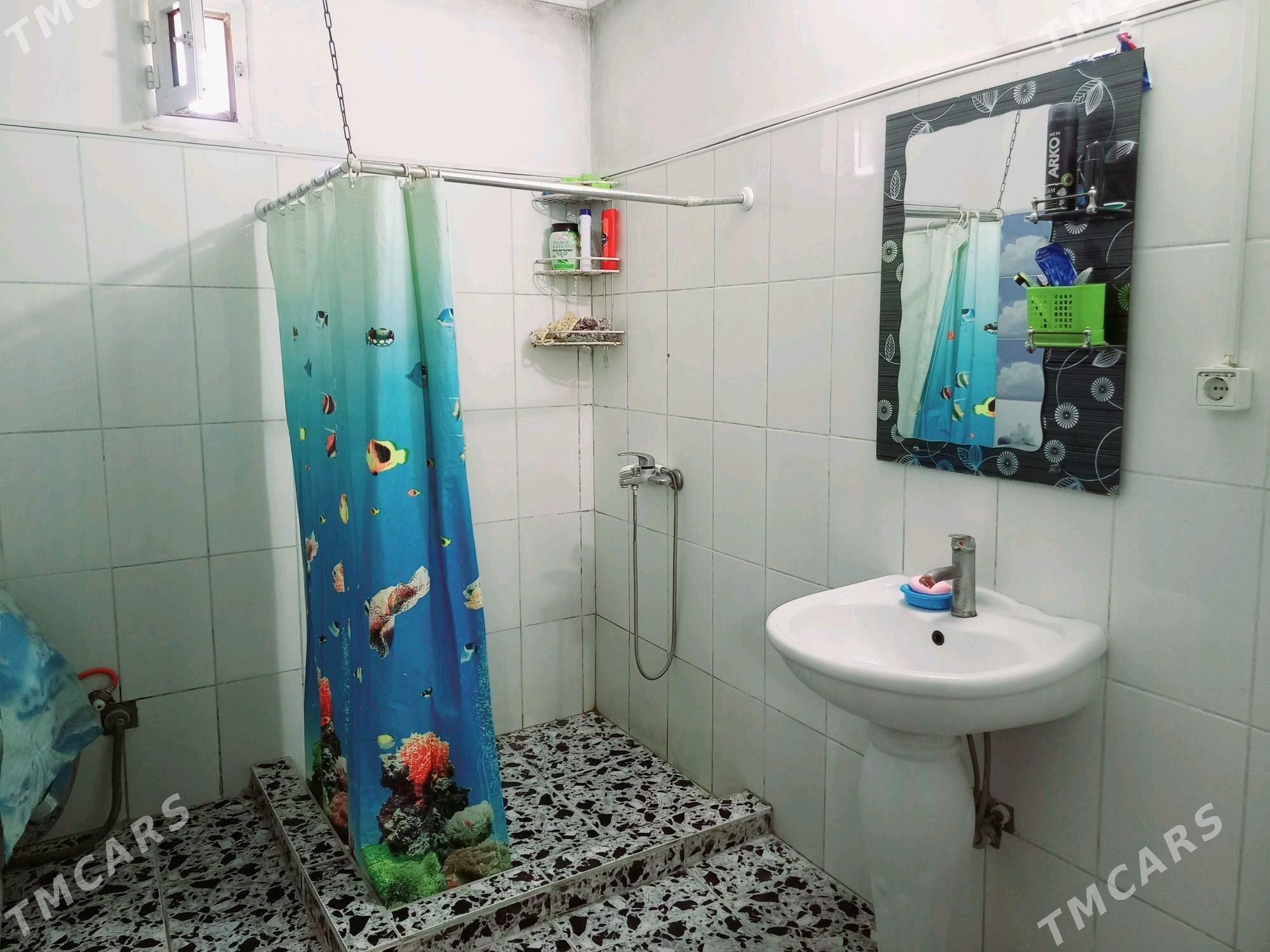 Satlyk Jaý - Теджен - img 6