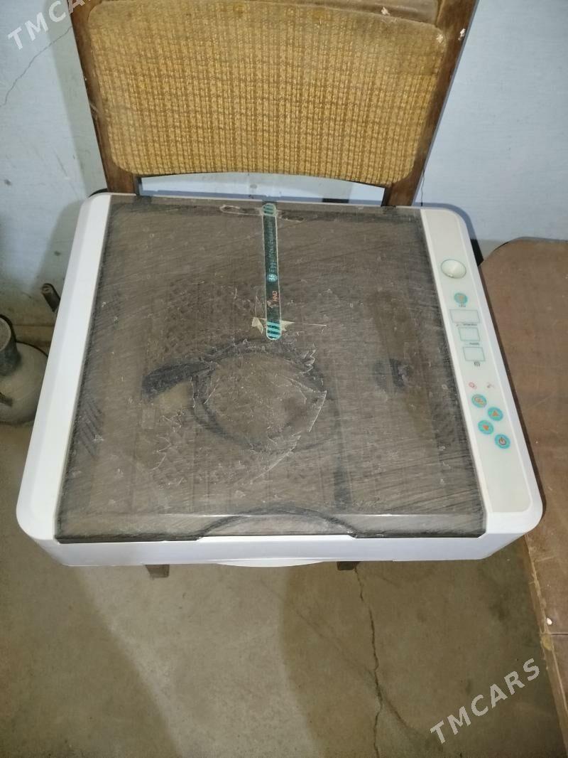 инкубатор - Mary - img 2