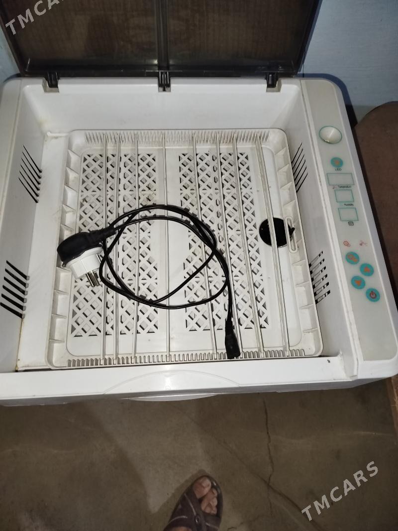 инкубатор - Mary - img 3