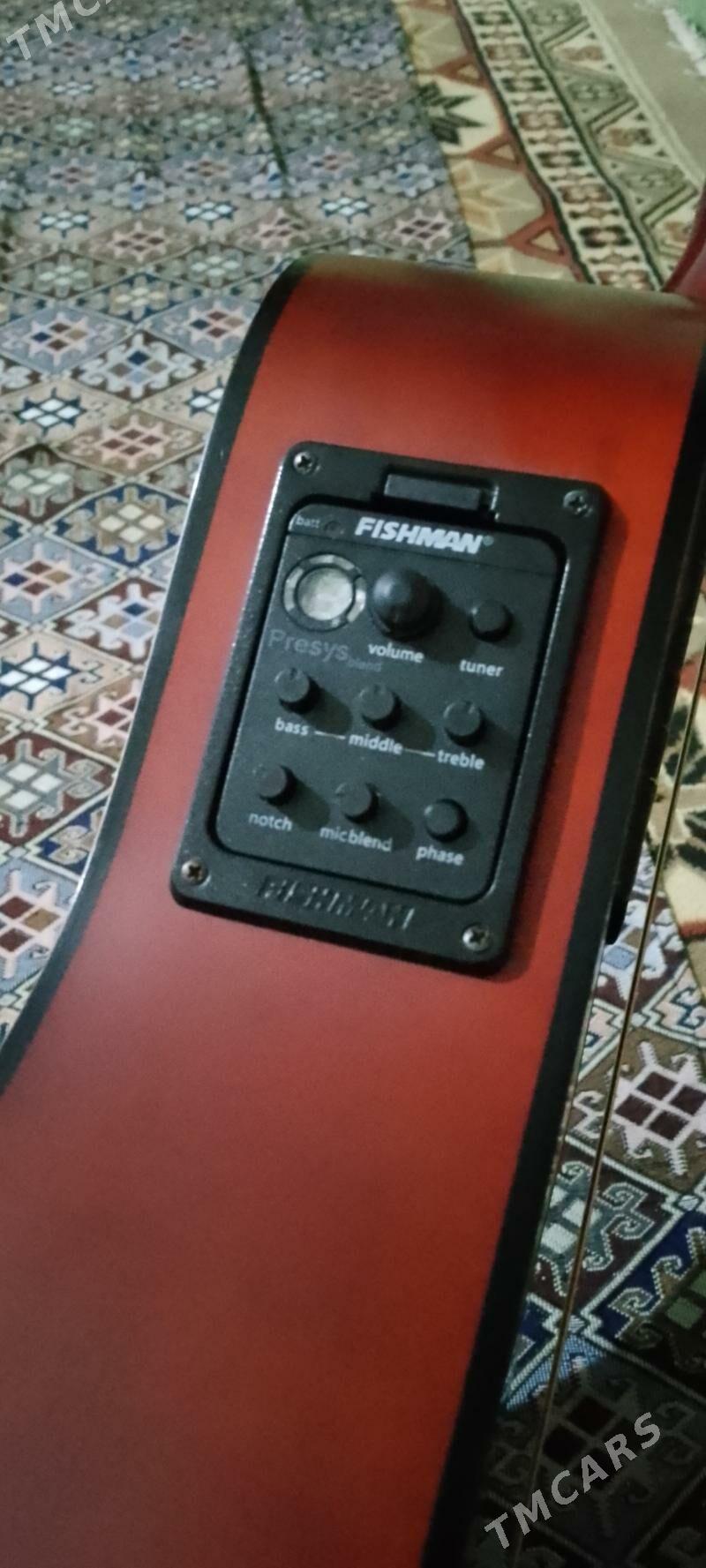 acoustic gitara - Murgap - img 3