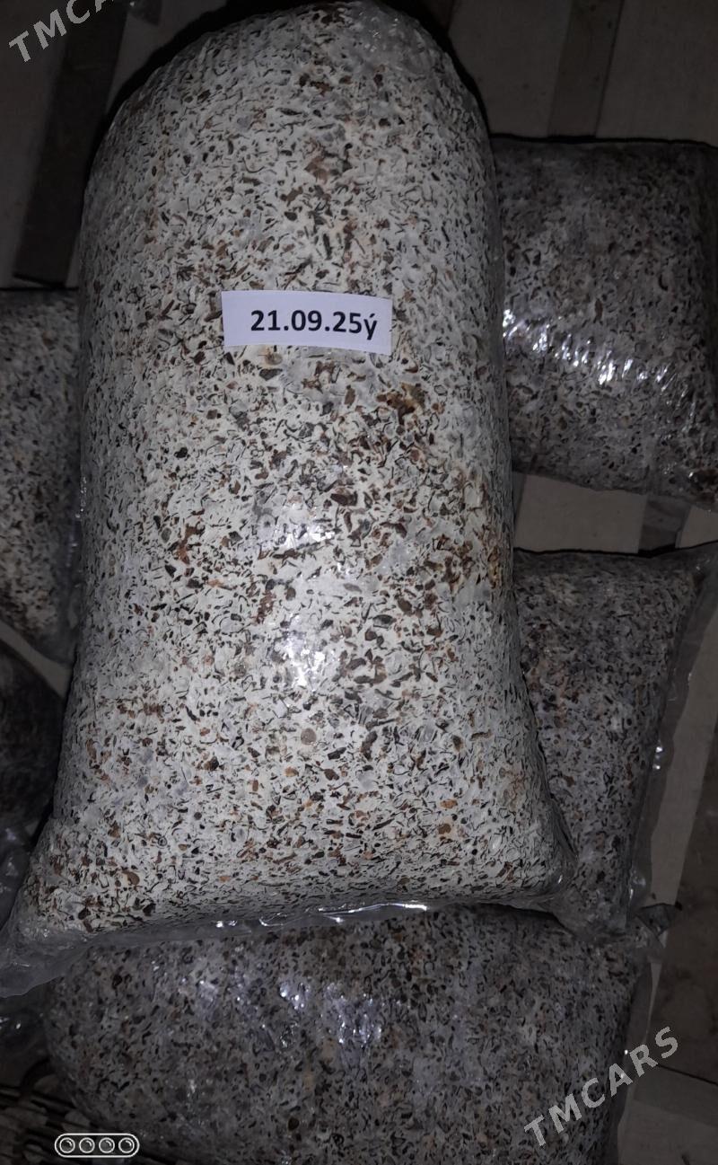 Kömelek tohum - Векильбазар - img 1