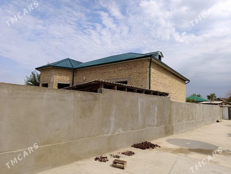 svarşik ussa  ya-da  passovnik - Гёкдепе - img 5