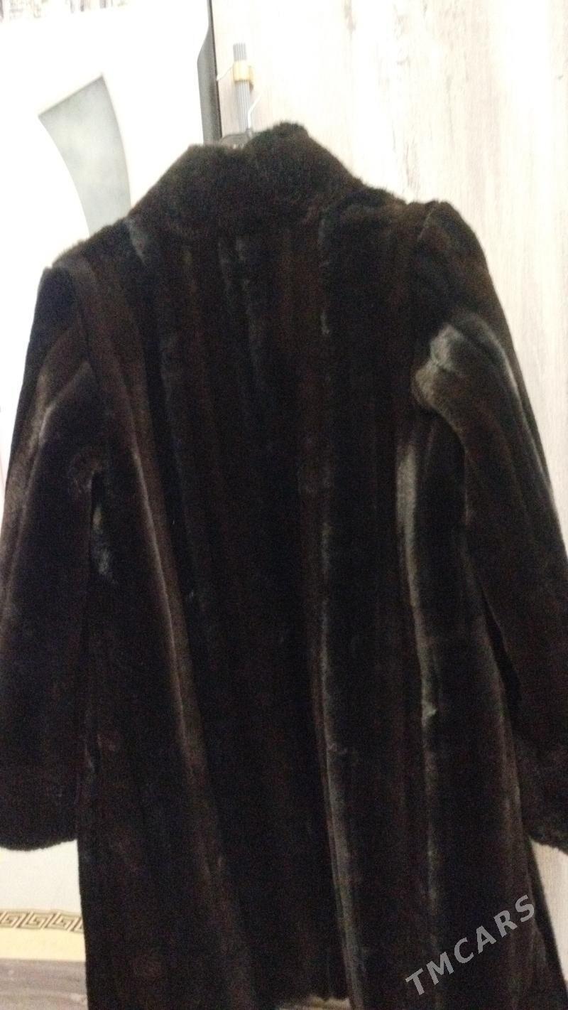 Şuba - Türkmenabat - img 3