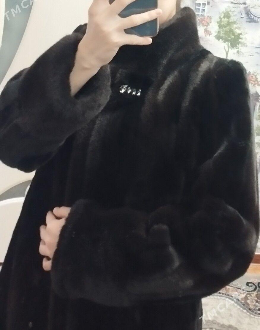 Şuba - Türkmenabat - img 1