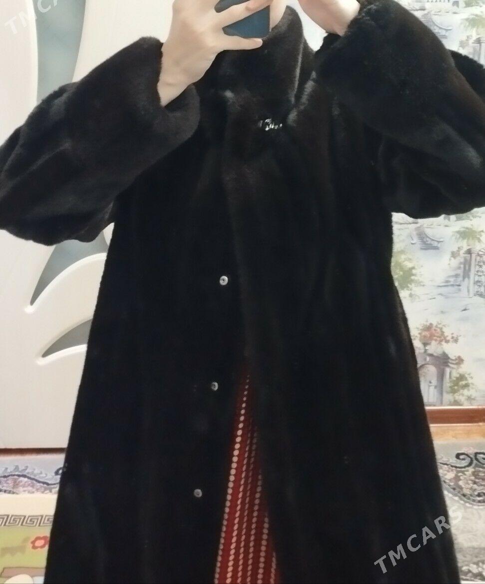 Şuba - Türkmenabat - img 2