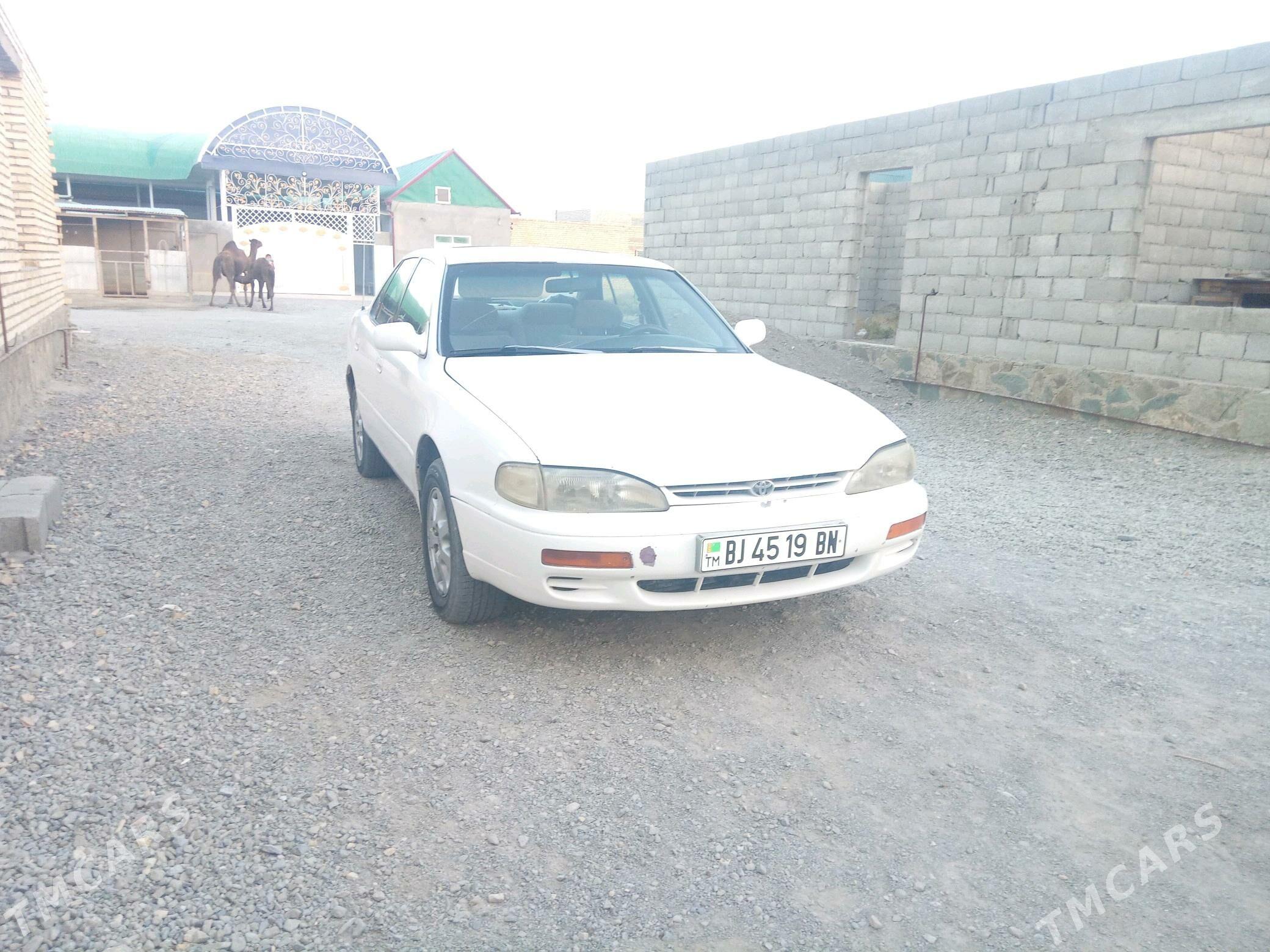 Toyota Camry 1997 - 90 000 TMT - Bereket - img 4