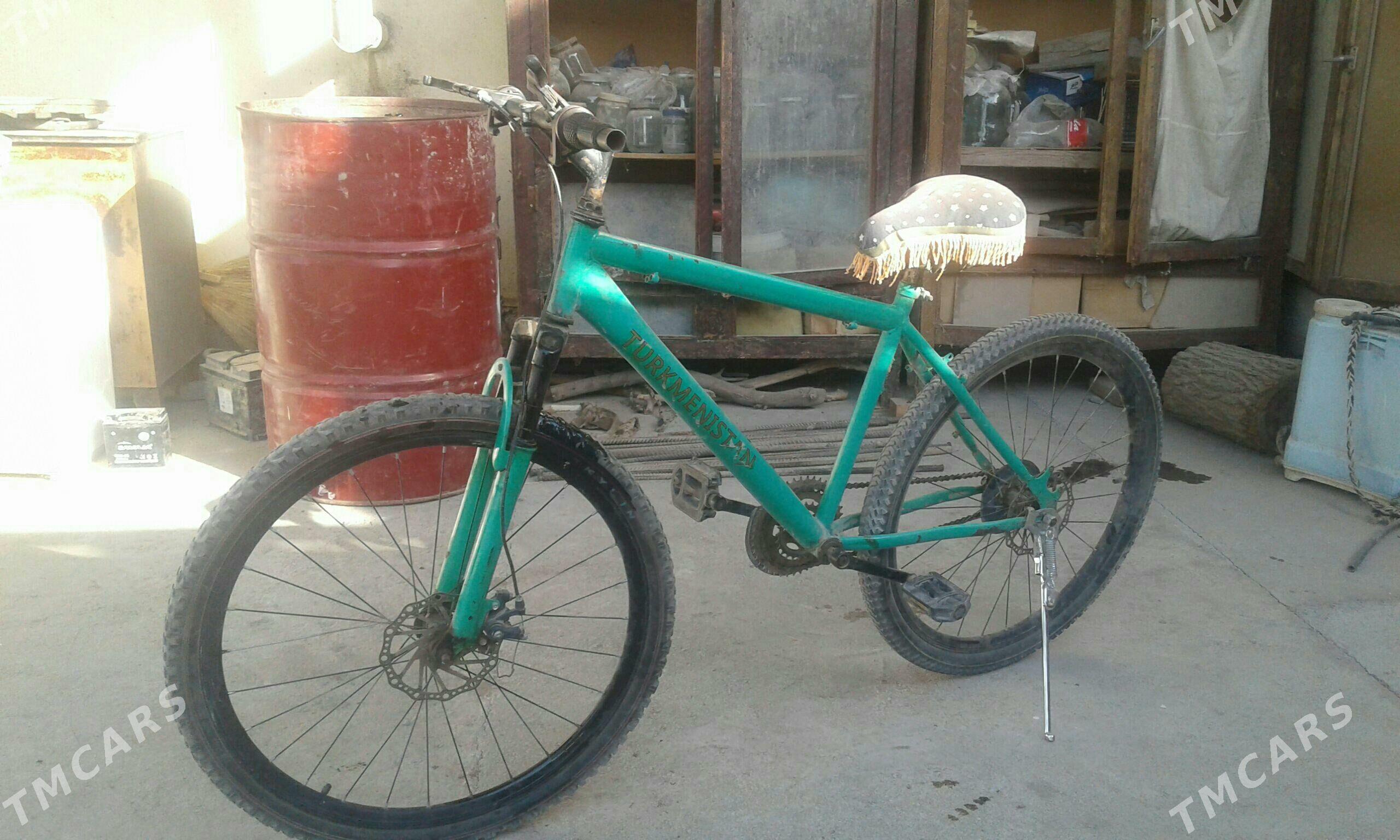 tigir - Gökdepe - img 2