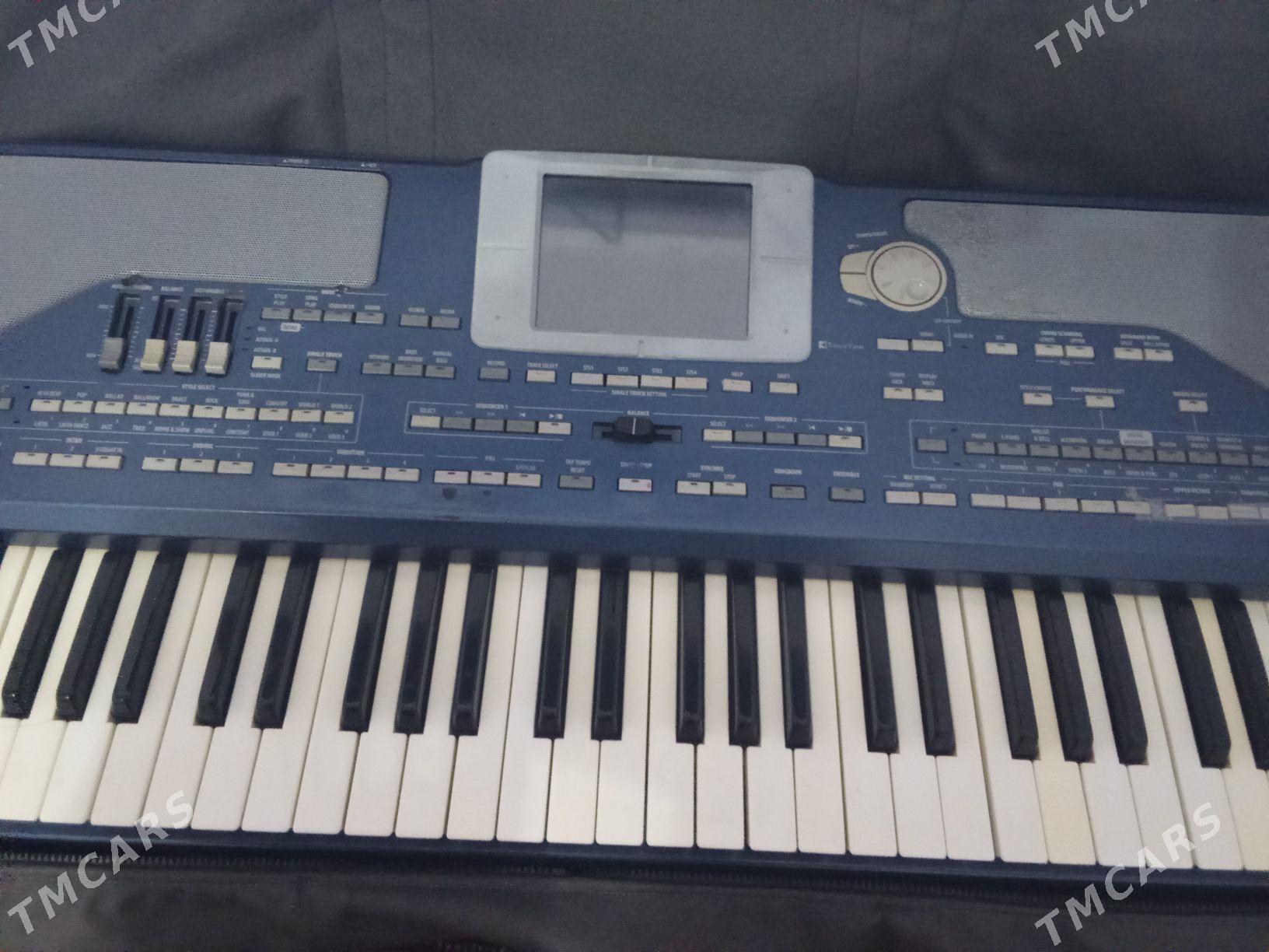 korg pa800 - Bereket - img 2