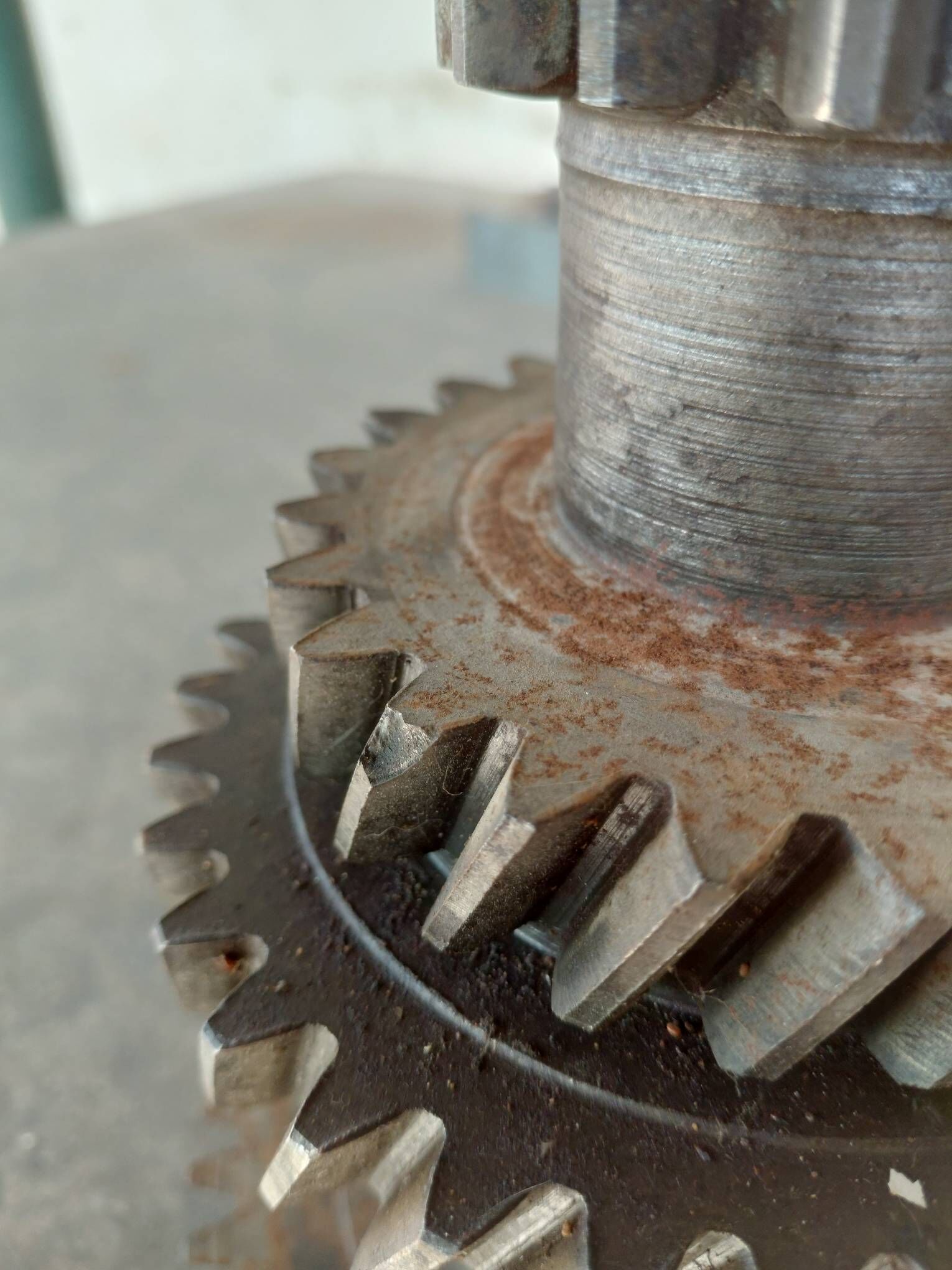 Gaz-53 1 200 TMT - Туркменбаши - img 3