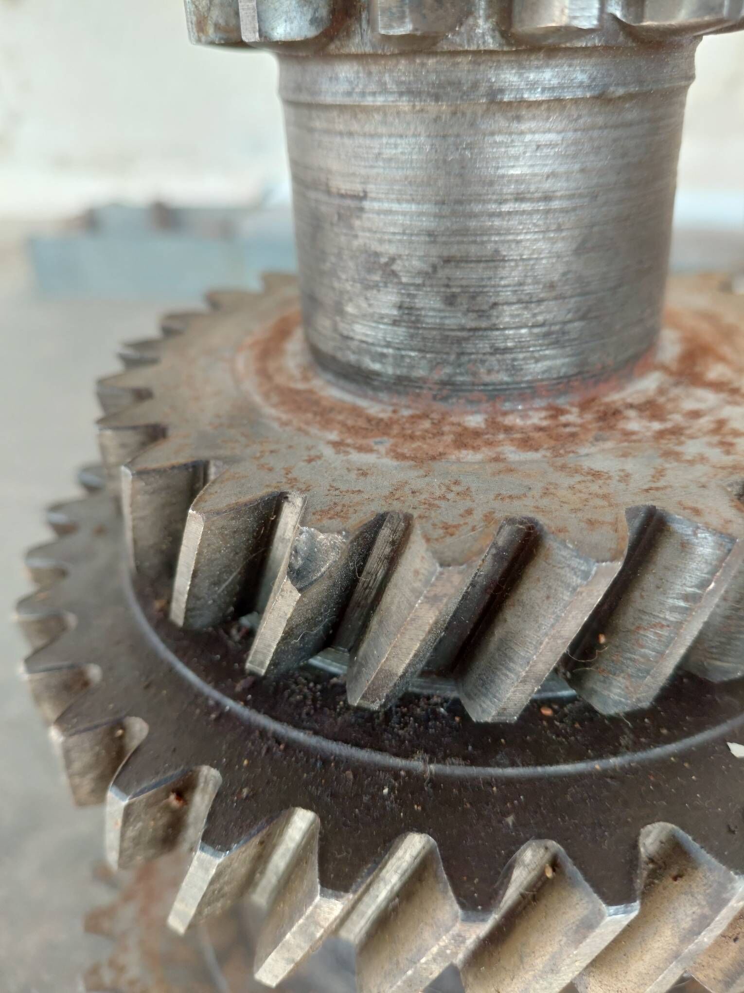 Gaz-53 1 200 TMT - Туркменбаши - img 2