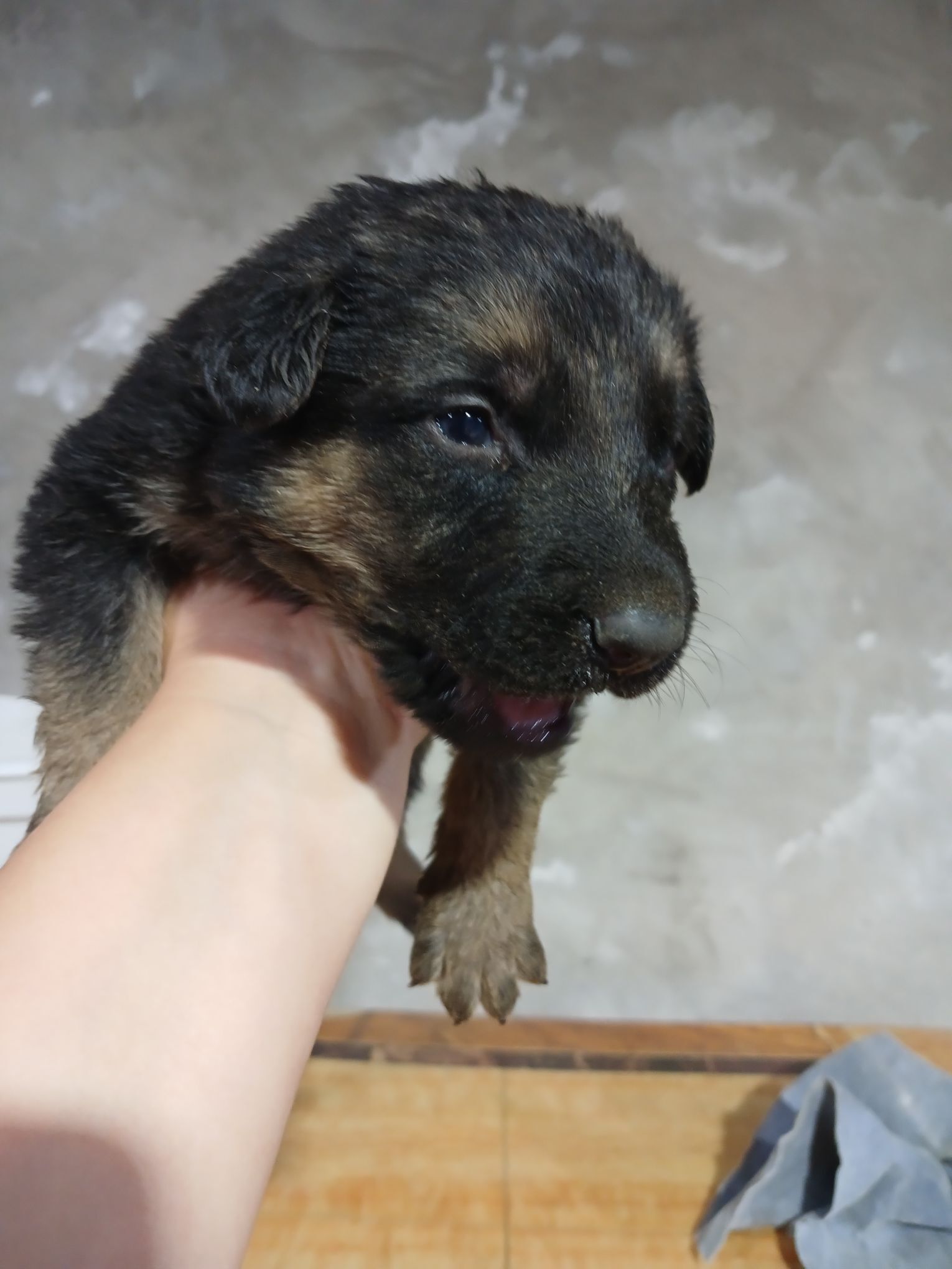 Afçarka - Туркменабат - img 6