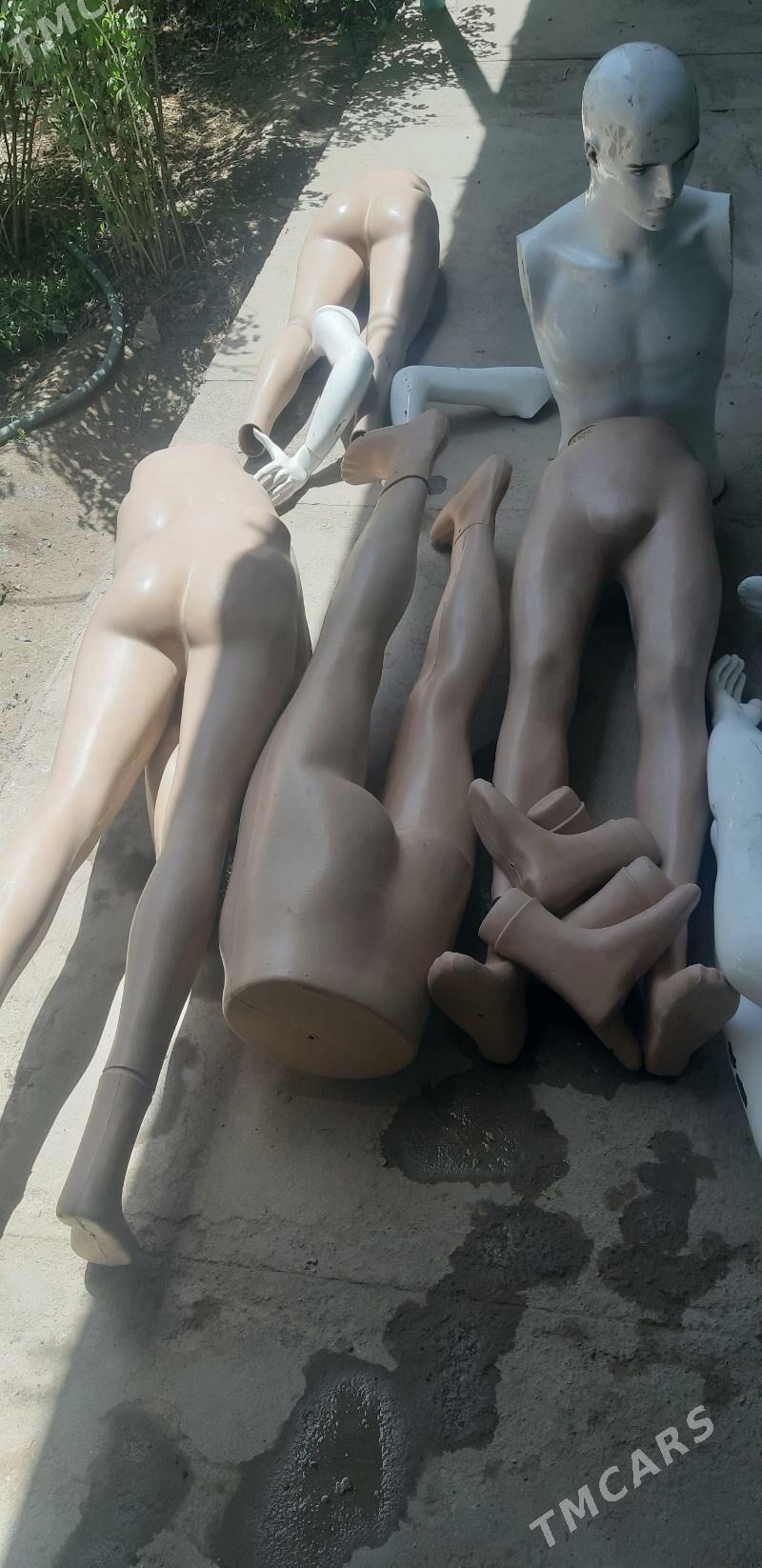 Maniken - Туркменабат - img 2