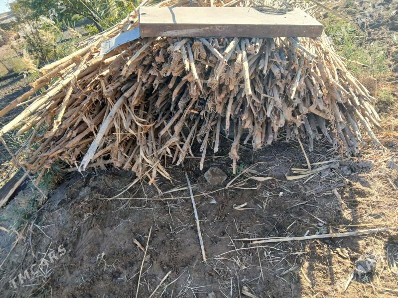 Bambuk - Çärjew - img 2