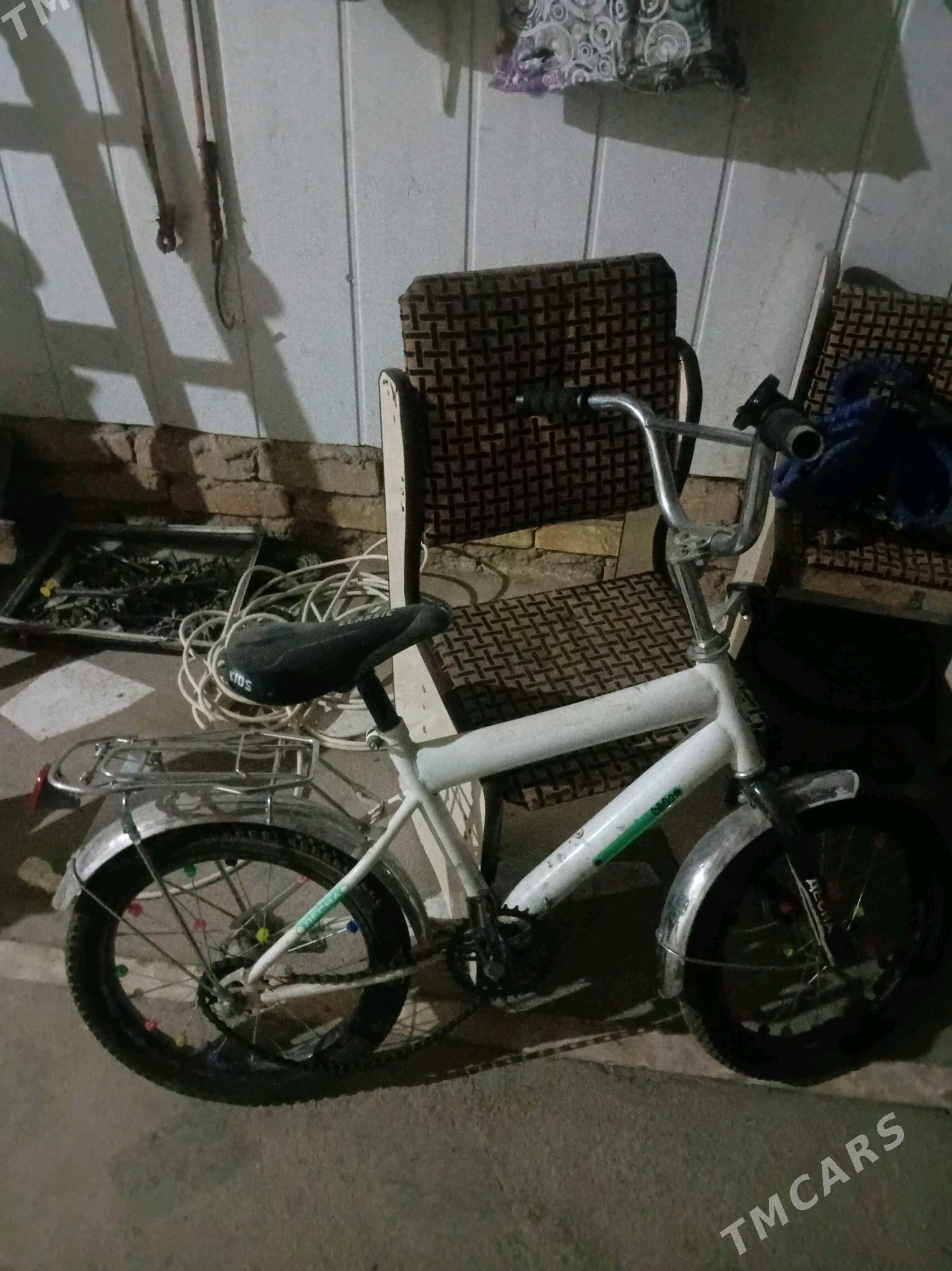 велосипед - Gurbansoltan Eje - img 1