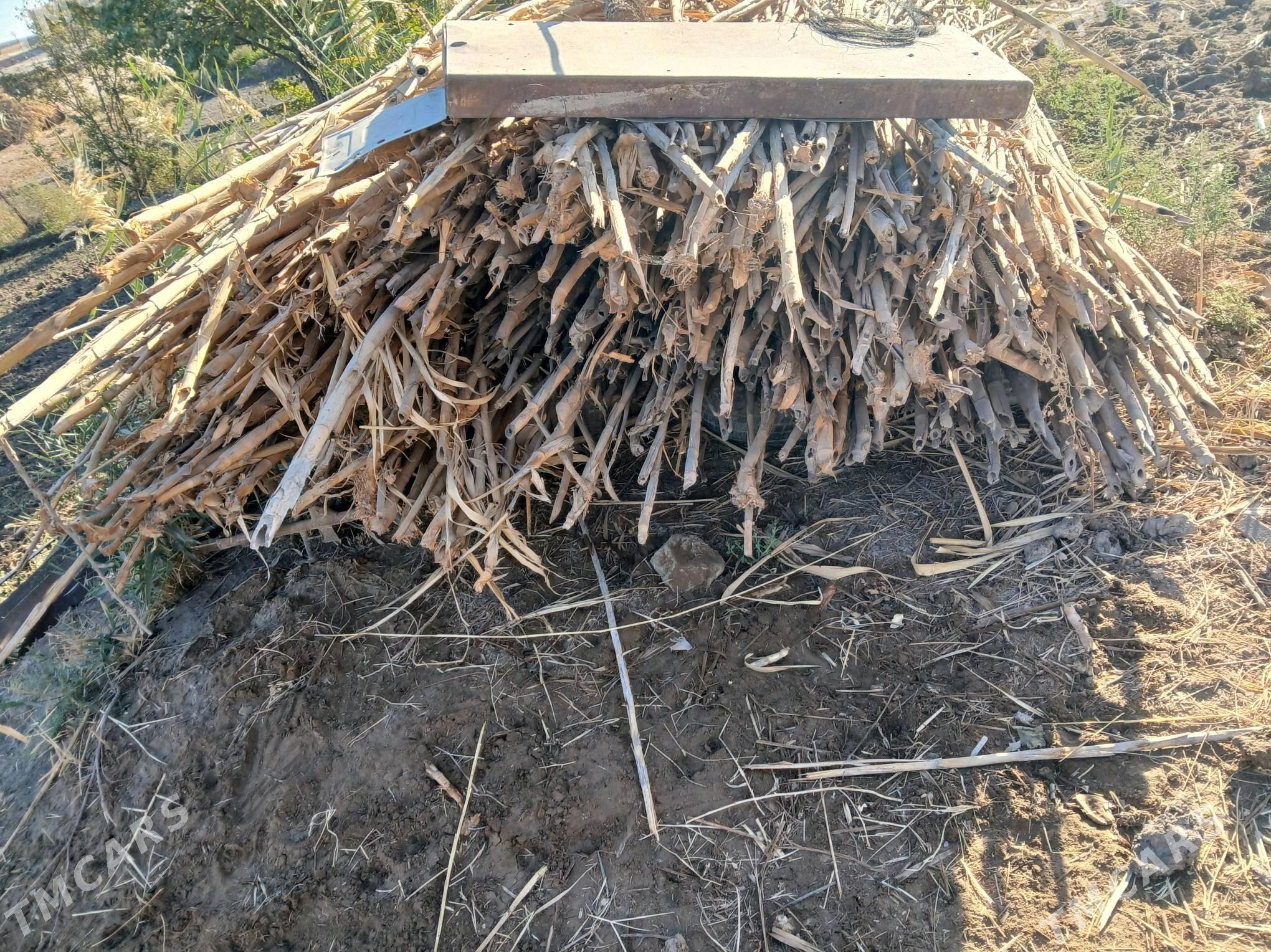 Bambuk - Çärjew - img 3