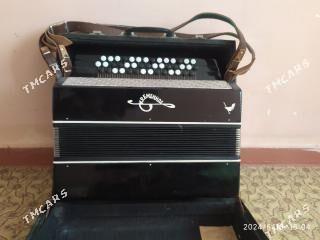 Гармошка - Ашхабад - img 2