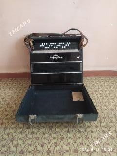 Гармошка - Ашхабад - img 1