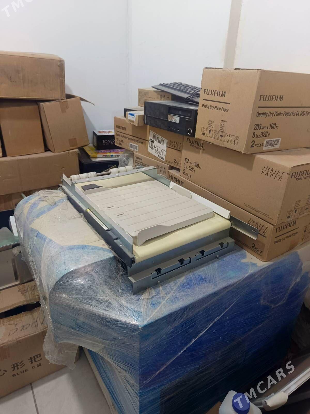 Fijufilim surat cykadyan apara - Mary - img 2