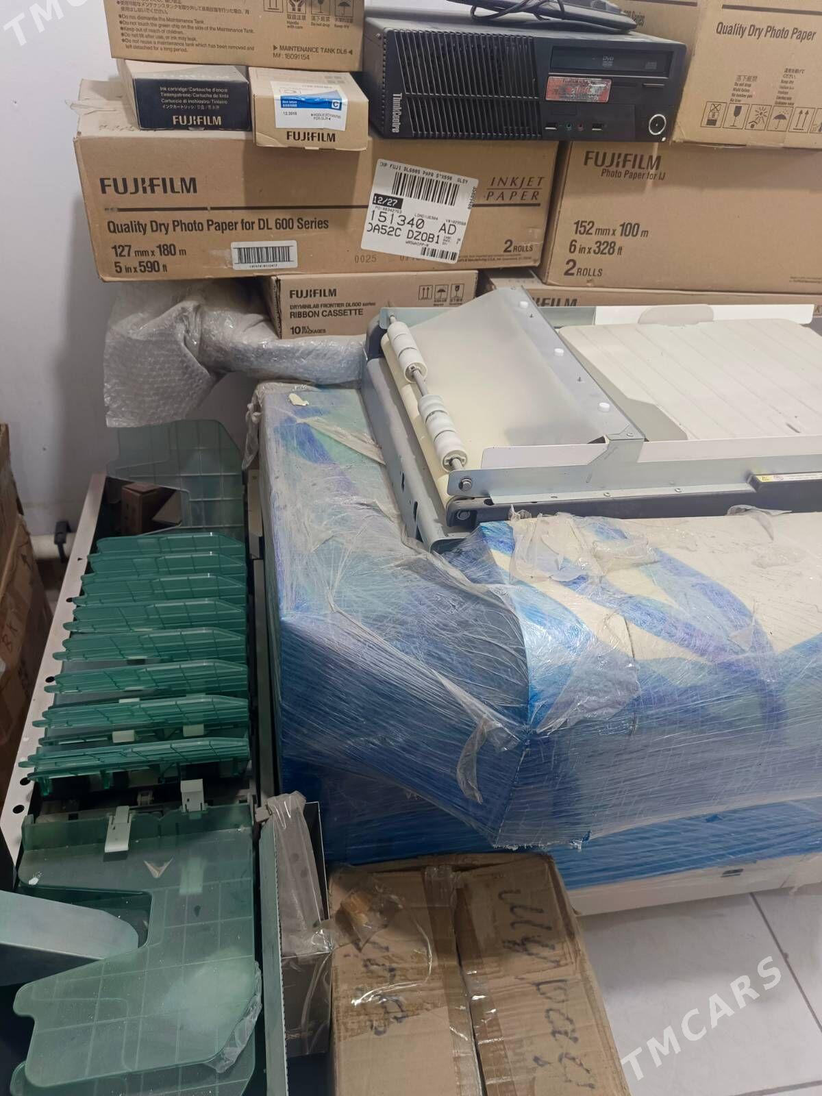 Fijufilim surat cykadyan apara - Mary - img 1