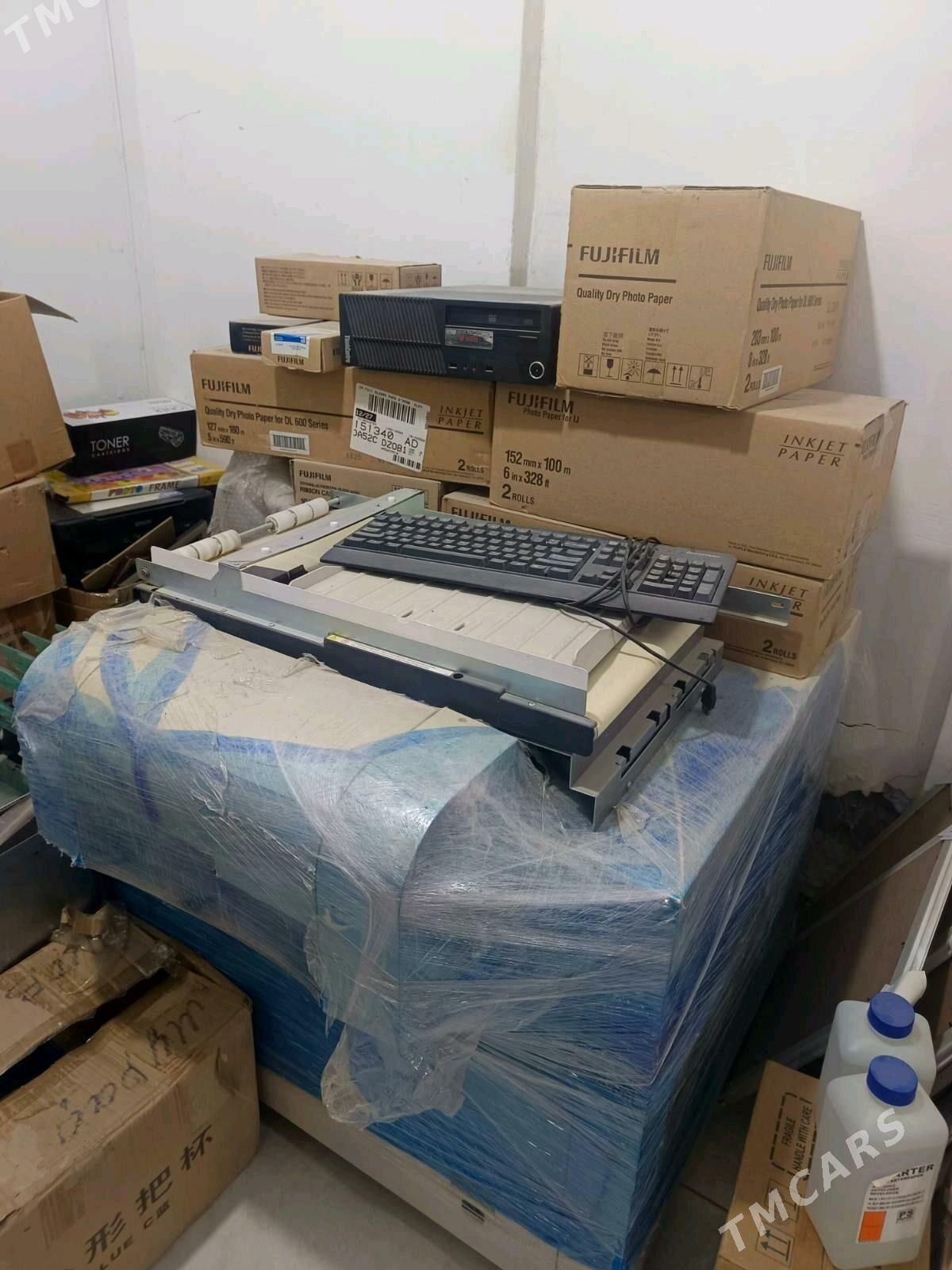 Fijufilim surat cykadyan apara - Mary - img 4