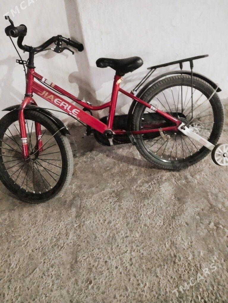 Tigir - Ak bugdaý etraby - img 1