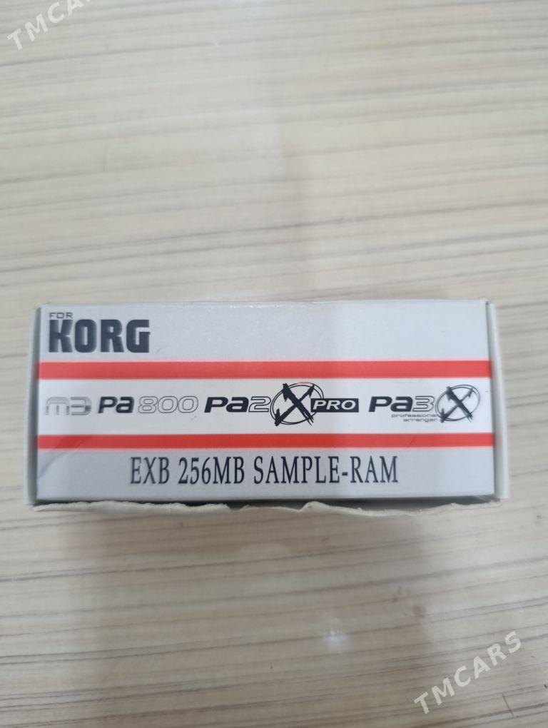 pa3 pamet - Mary - img 2