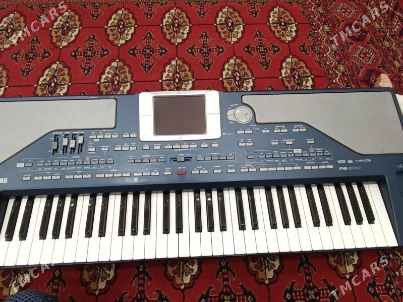 pa800 - Mary - img 1