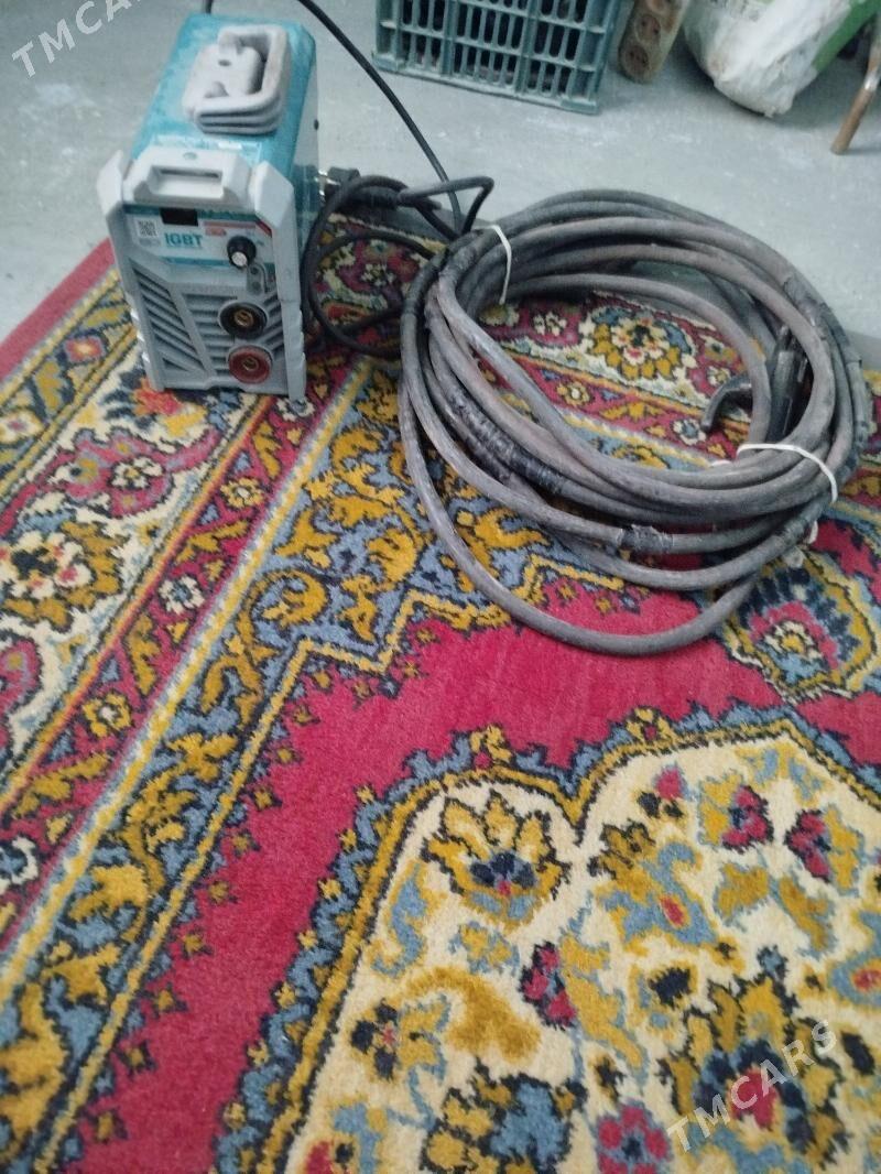 Swarka - Murgap - img 2