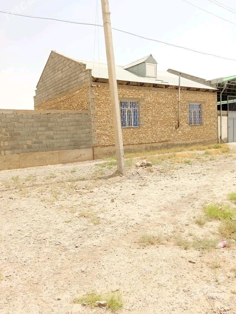 satlyk Jay - Gyzylarbat - img 2