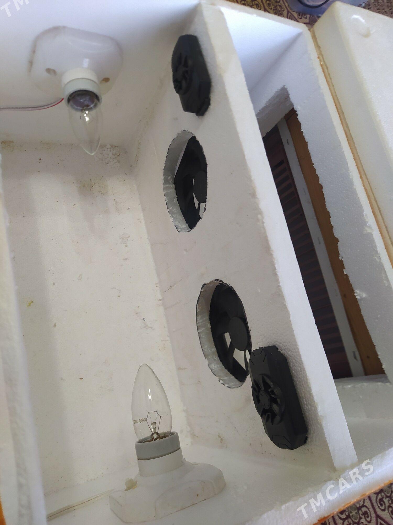 inkubator 100 juje cykaryar - Сакарчага - img 3