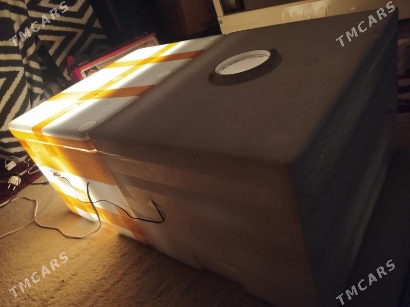 inkubator 100 juje cykaryar - Сакарчага - img 5