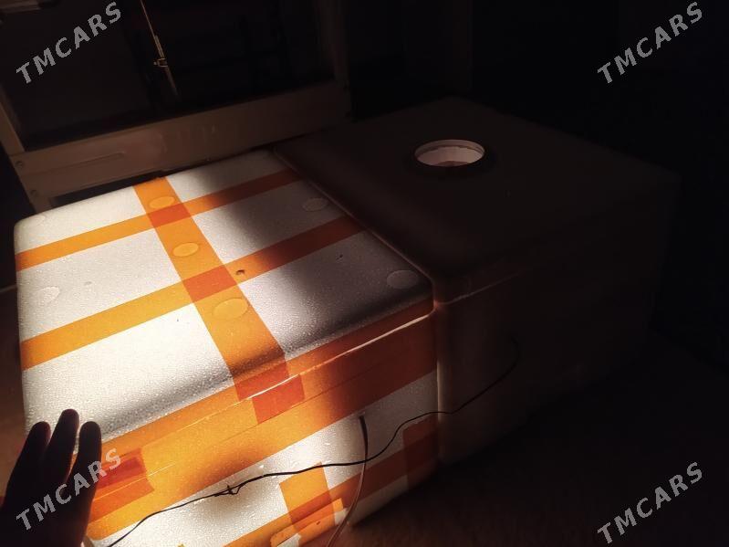 inkubator 100 juje cykaryar - Сакарчага - img 1