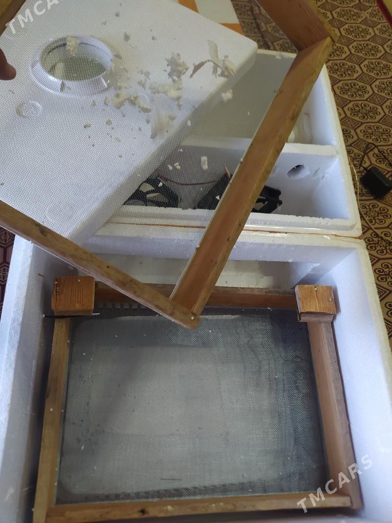 inkubator 100 juje cykaryar - Сакарчага - img 6