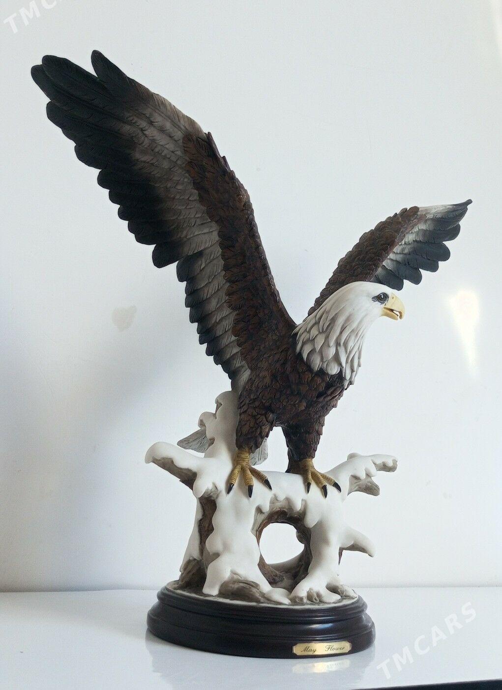 bürgüt - Balkanabat - img 3