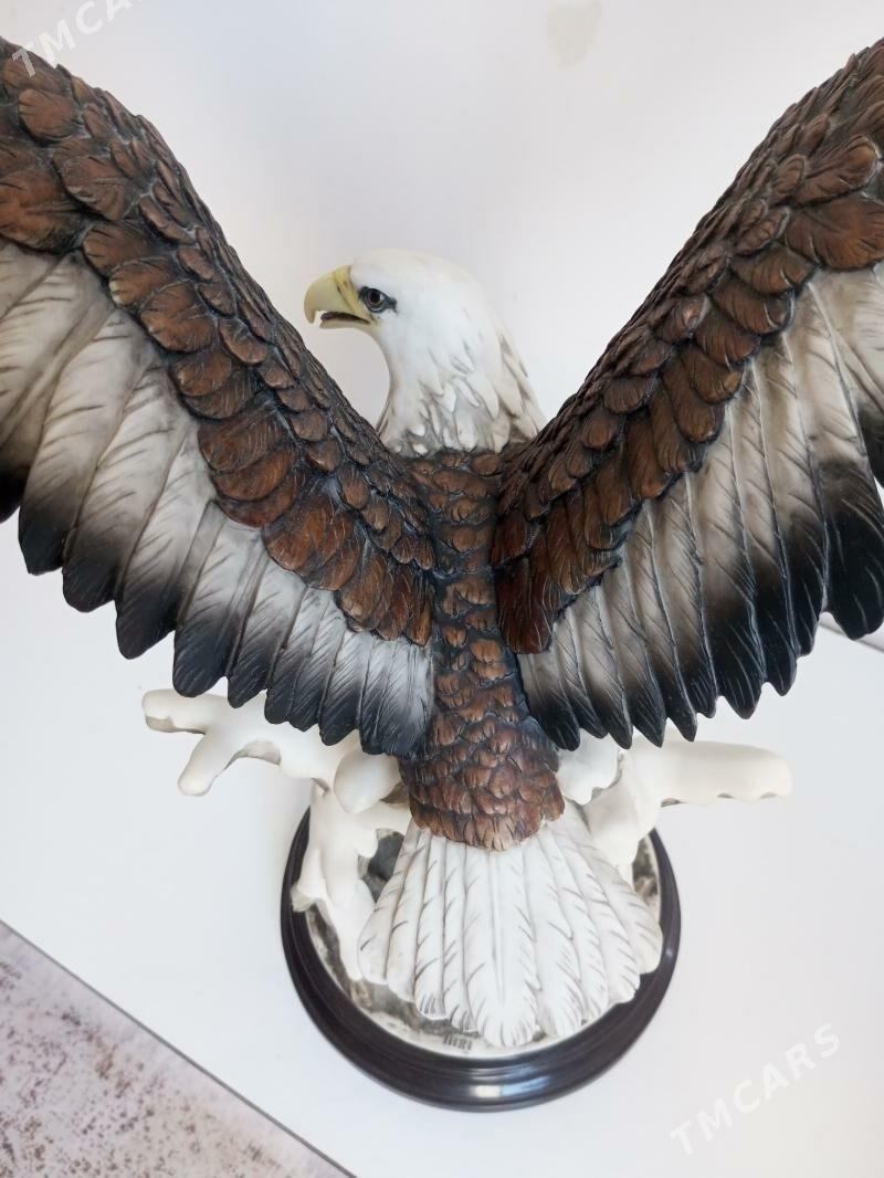 bürgüt - Balkanabat - img 4