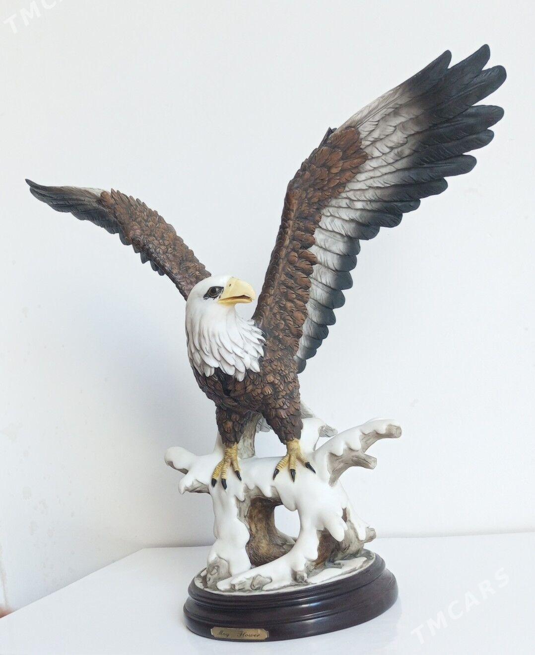 bürgüt - Balkanabat - img 2