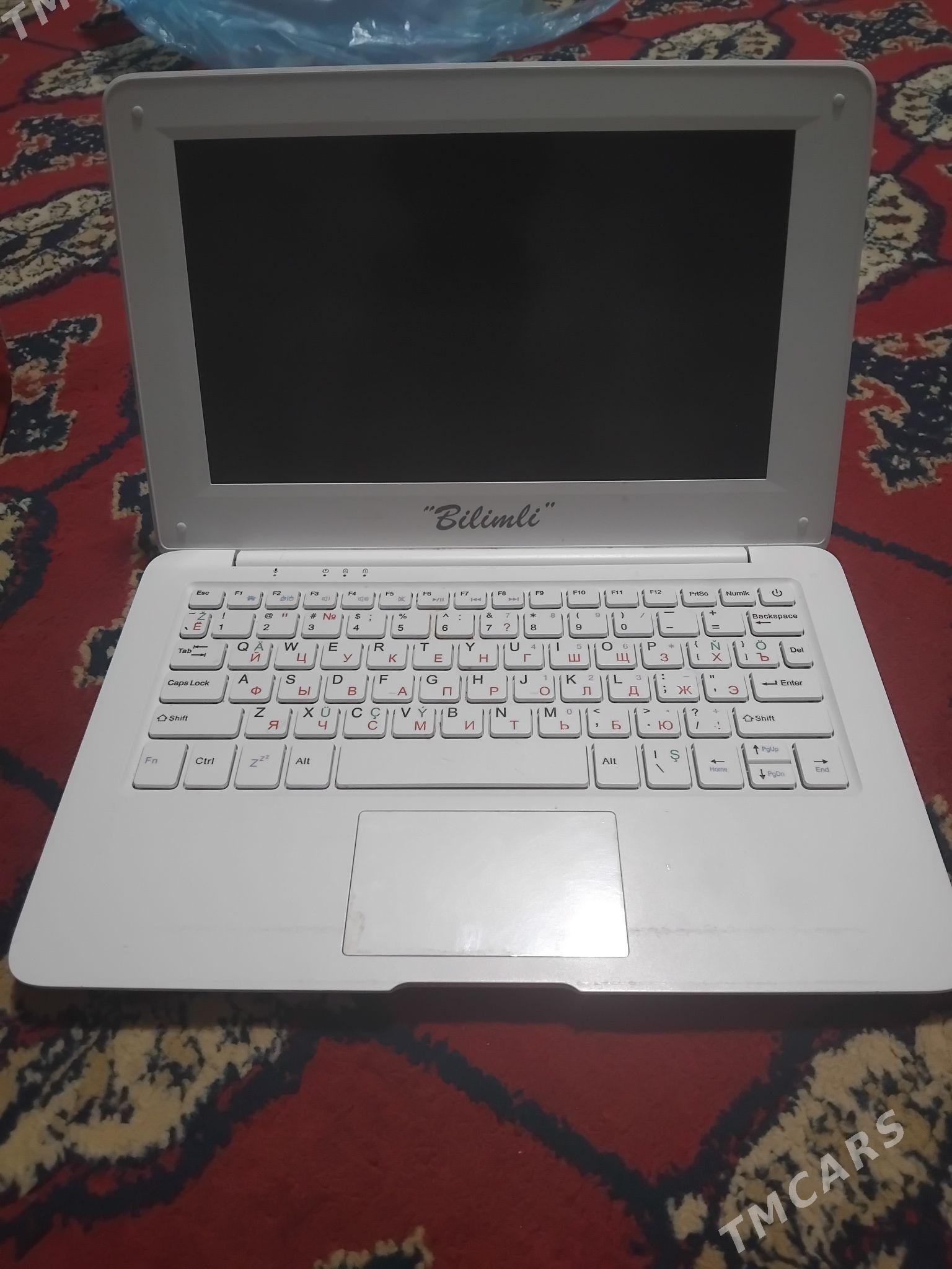 bilimli - Gumdag - img 2