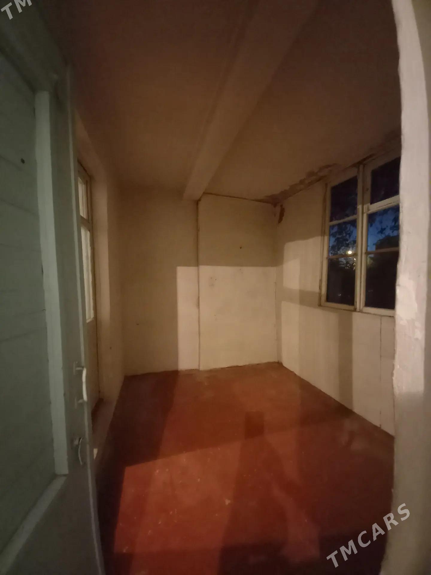 Satlyk jay - Mary - img 8