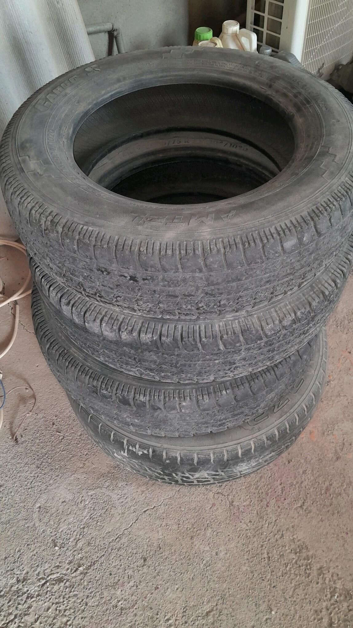 газел тигир 140 TMT - Sarahs - img 1