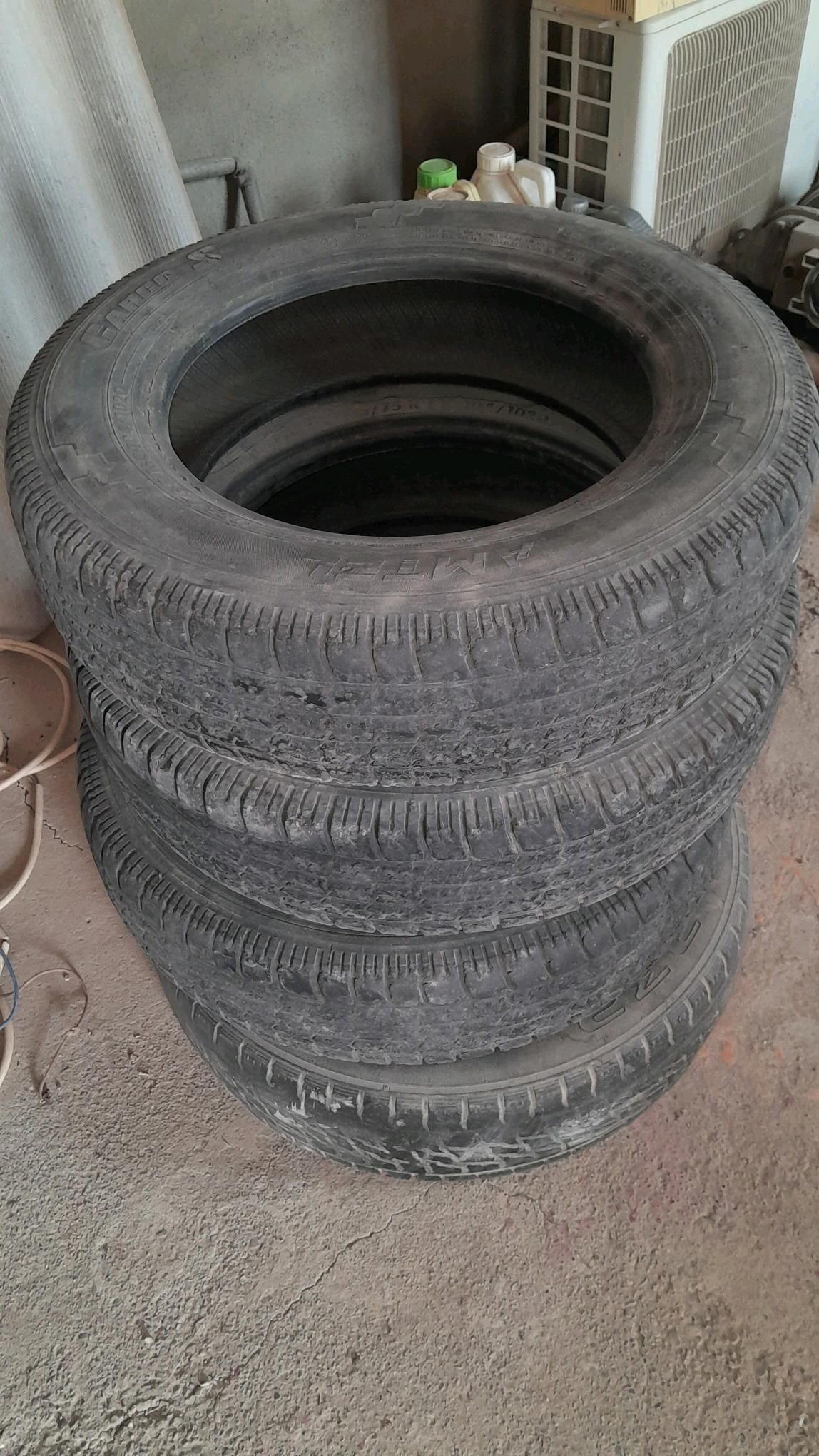 газел тигир 140 TMT - Sarahs - img 2