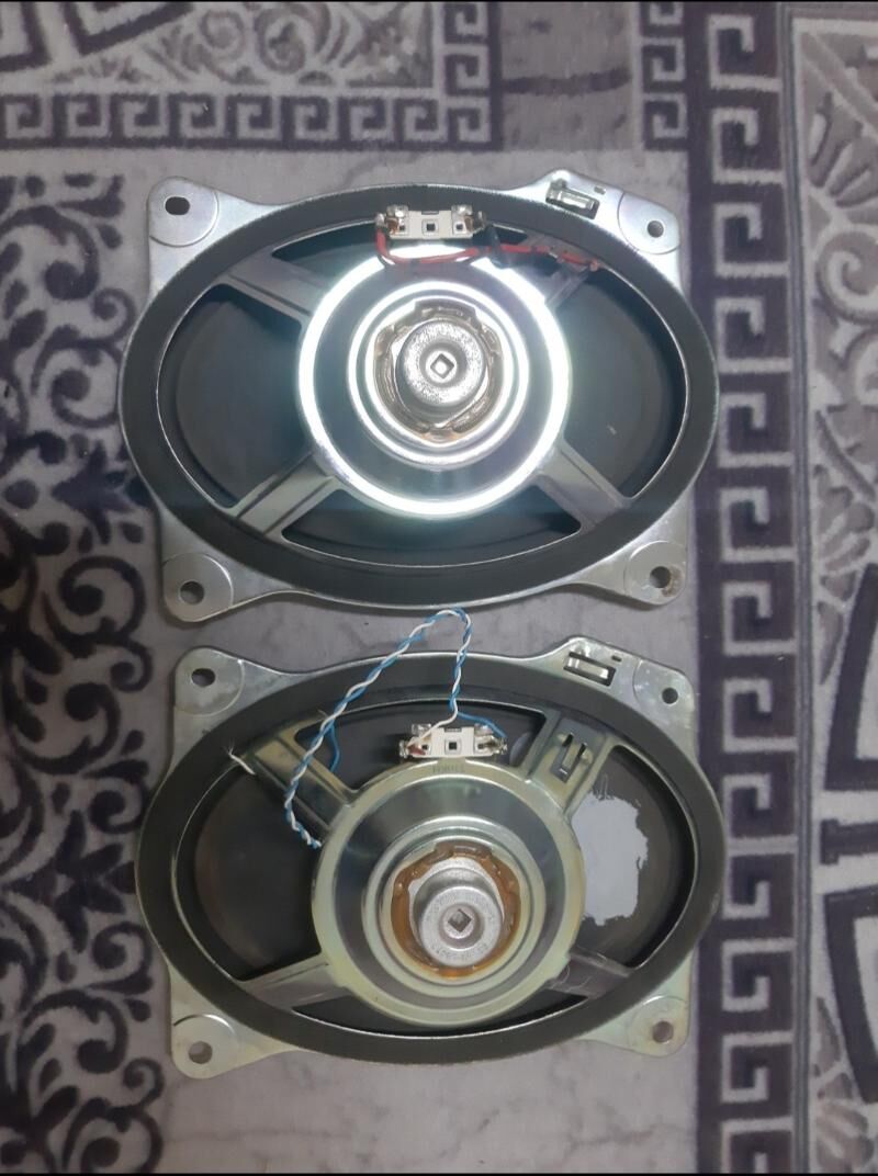 kalonka 300 TMT - Boldumsaz - img 2