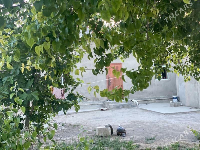 plañ jay - Туркменбаши - img 5