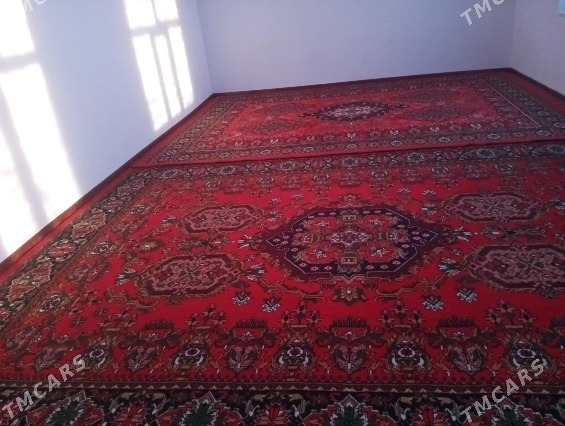 satlyk jay - Mary - img 6