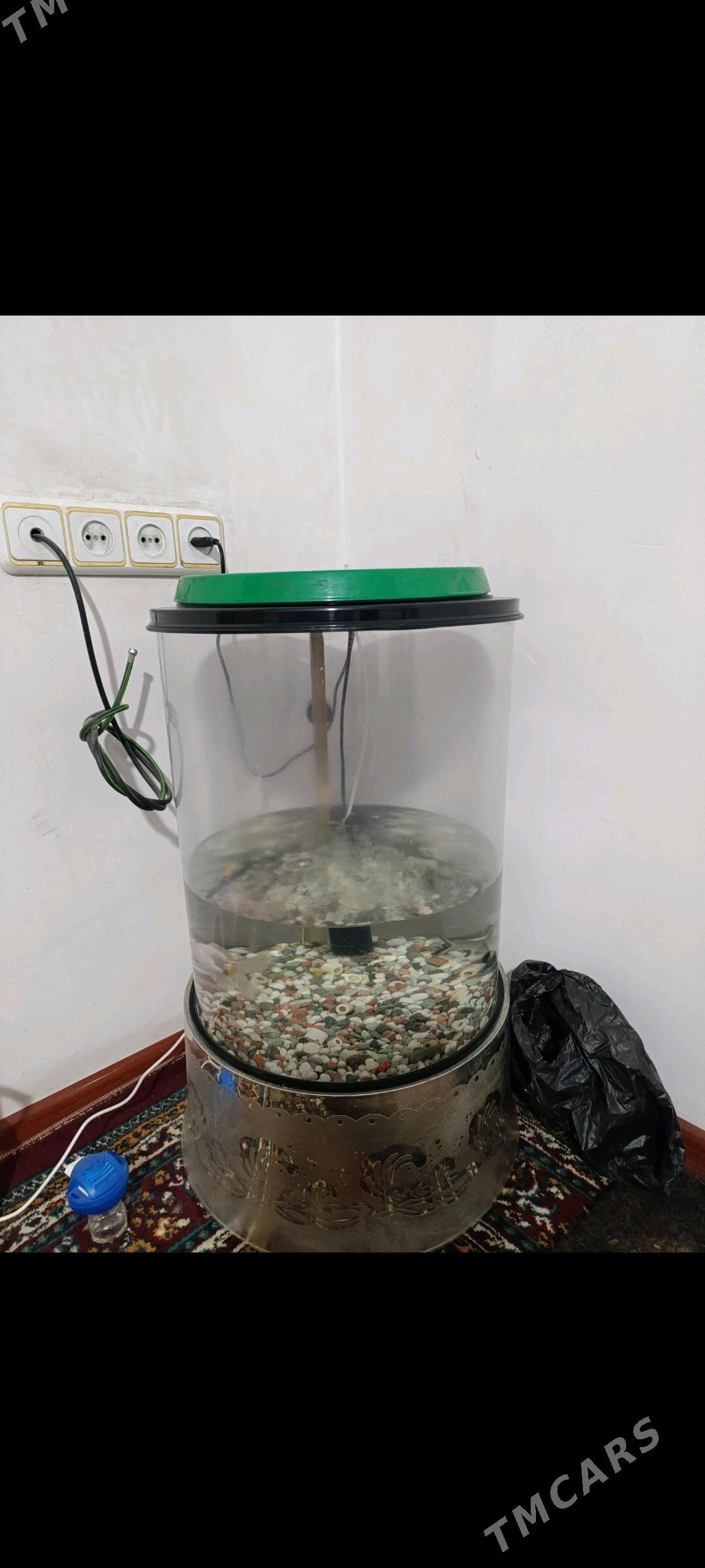 Akwaryum - Büzmeýin GRES - img 1