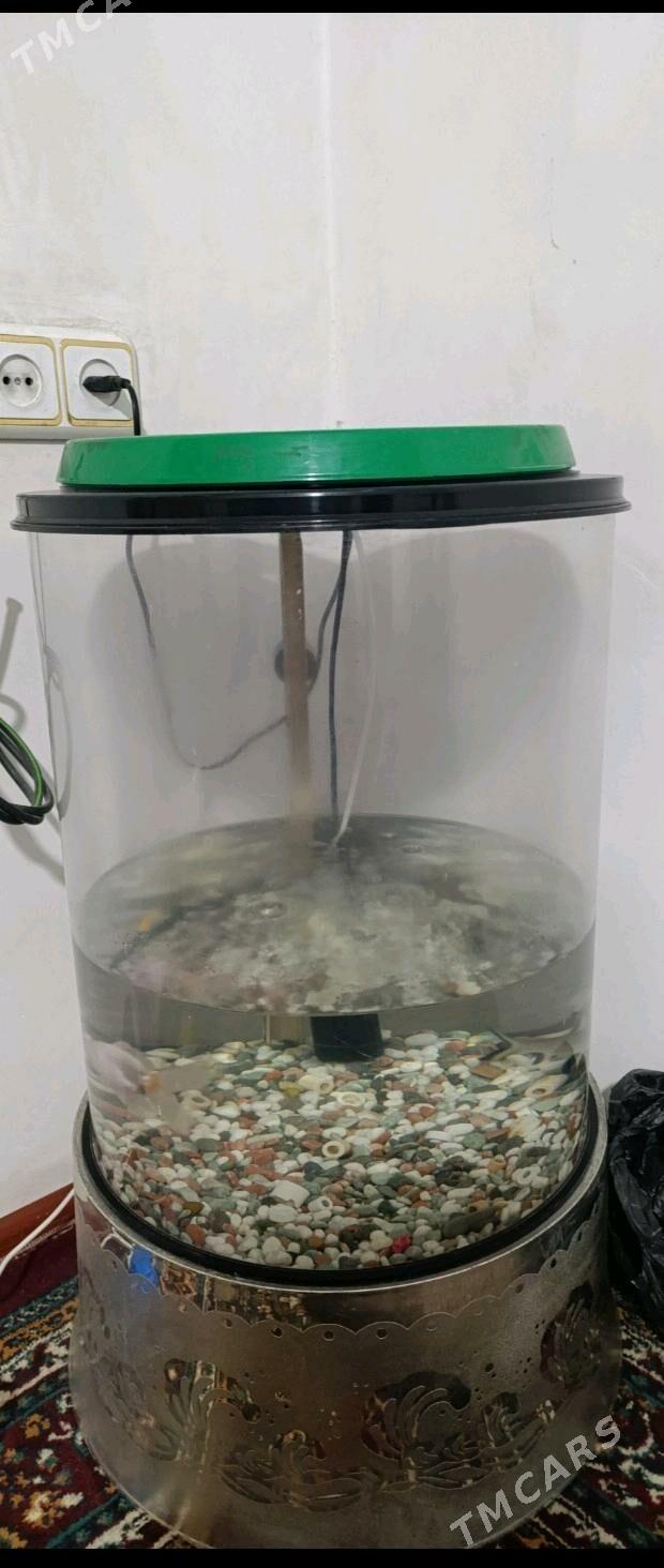 Akwaryum - Büzmeýin GRES - img 2