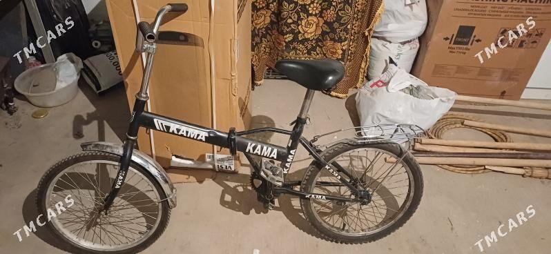 kama tigir - Тязе заман - img 3