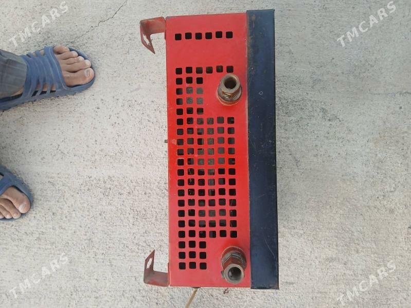 Swarka - Багир - img 1